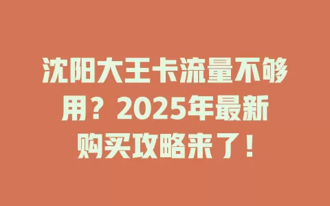 沈阳大王卡流量不够用？2025年最新购买攻略来了！