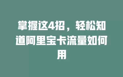 掌握这4招，轻松知道阿里宝卡流量如何用