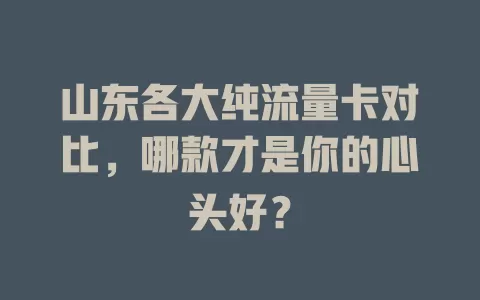 山东各大纯流量卡对比，哪款才是你的心头好？