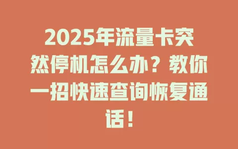 2025年流量卡突然停机怎么办？教你一招快速查询恢复通话！