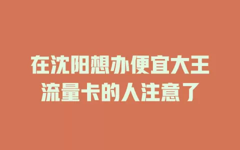 在沈阳想办便宜大王流量卡的人注意了