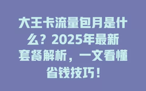 大王卡流量包月是什么？2025年最新套餐解析，一文看懂省钱技巧！