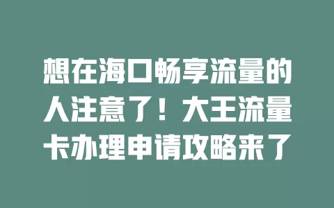 想在海口畅享流量的人注意了！大王流量卡办理申请攻略来了