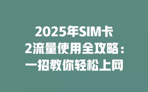 2025年SIM卡2流量使用全攻略：一招教你轻松上网