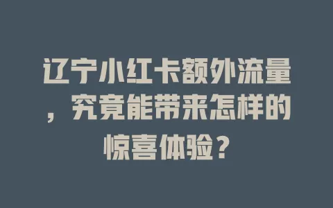 辽宁小红卡额外流量，究竟能带来怎样的惊喜体验？