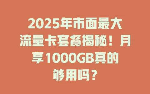2025年市面最大流量卡套餐揭秘！月享1000GB真的够用吗？