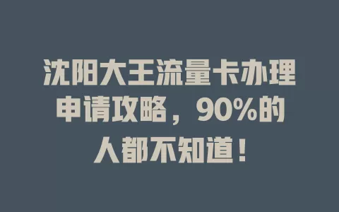沈阳大王流量卡办理申请攻略，90%的人都不知道！