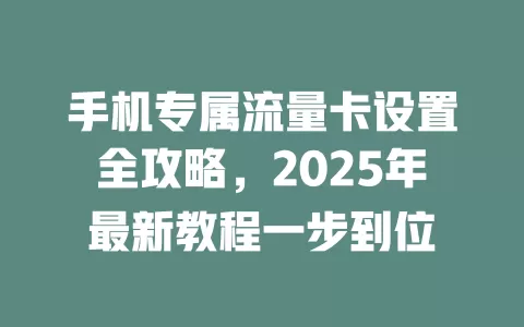 手机专属流量卡设置全攻略，2025年最新教程一步到位