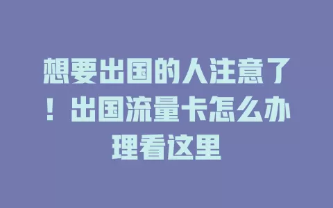 想要出国的人注意了！出国流量卡怎么办理看这里