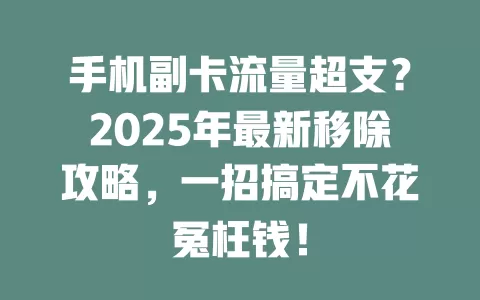 手机副卡流量超支？2025年最新移除攻略，一招搞定不花冤枉钱！