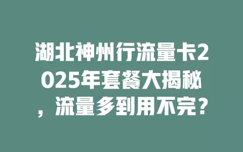 湖北神州行流量卡2025年套餐大揭秘，流量多到用不完？