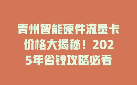 青州智能硬件流量卡价格大揭秘！2025年省钱攻略必看