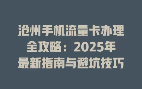 沧州手机流量卡办理全攻略：2025年最新指南与避坑技巧