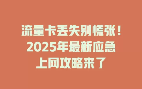 流量卡丢失别慌张！2025年最新应急上网攻略来了