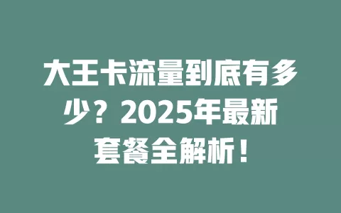 大王卡流量到底有多少？2025年最新套餐全解析！