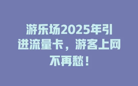 游乐场2025年引进流量卡，游客上网不再愁！
