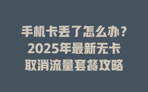手机卡丢了怎么办？2025年最新无卡取消流量套餐攻略