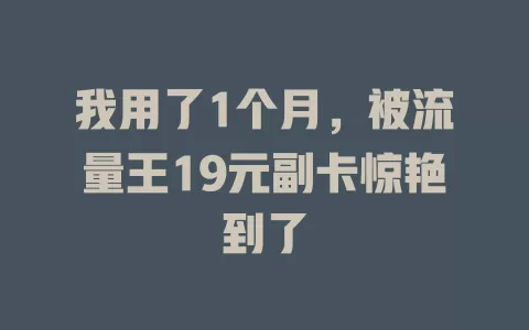 我用了1个月，被流量王19元副卡惊艳到了