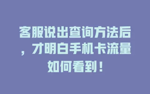 客服说出查询方法后，才明白手机卡流量如何看到！