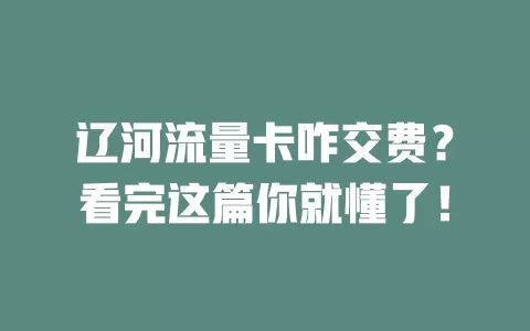 辽河流量卡咋交费？看完这篇你就懂了！