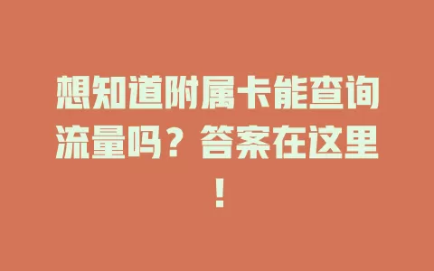 想知道附属卡能查询流量吗？答案在这里！