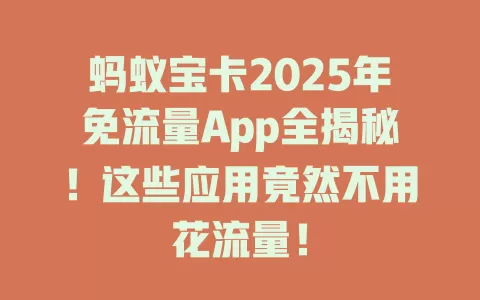 蚂蚁宝卡2025年免流量App全揭秘！这些应用竟然不用花流量！