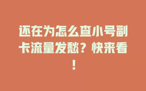 还在为怎么查小号副卡流量发愁？快来看！