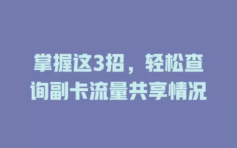 掌握这3招，轻松查询副卡流量共享情况