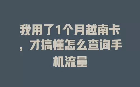 我用了1个月越南卡，才搞懂怎么查询手机流量