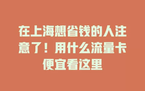 在上海想省钱的人注意了！用什么流量卡便宜看这里