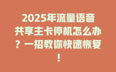 2025年流量语音共享主卡停机怎么办？一招教你快速恢复！