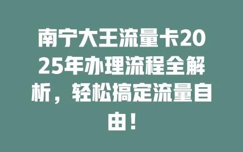 南宁大王流量卡2025年办理流程全解析，轻松搞定流量自由！