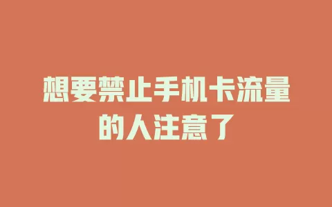 想要禁止手机卡流量的人注意了