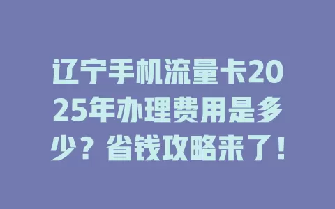 辽宁手机流量卡2025年办理费用是多少？省钱攻略来了！