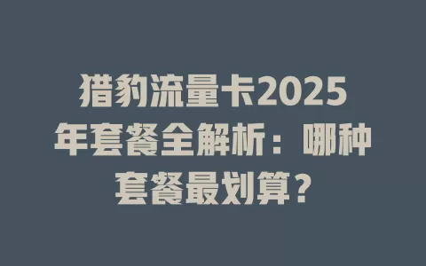 猎豹流量卡2025年套餐全解析：哪种套餐最划算？