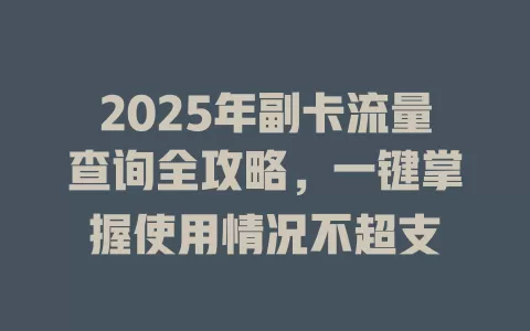2025年副卡流量查询全攻略，一键掌握使用情况不超支