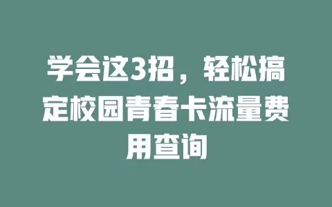 学会这3招，轻松搞定校园青春卡流量费用查询