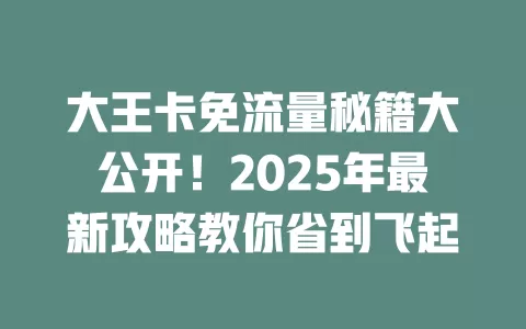 大王卡免流量秘籍大公开！2025年最新攻略教你省到飞起