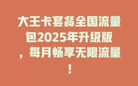 大王卡套餐全国流量包2025年升级版，每月畅享无限流量！
