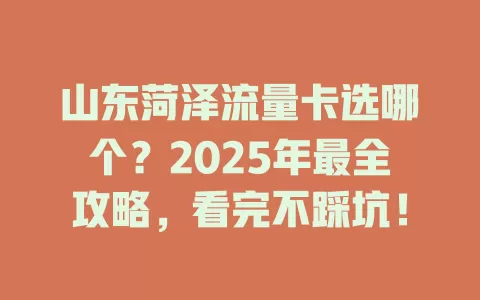 山东菏泽流量卡选哪个？2025年最全攻略，看完不踩坑！