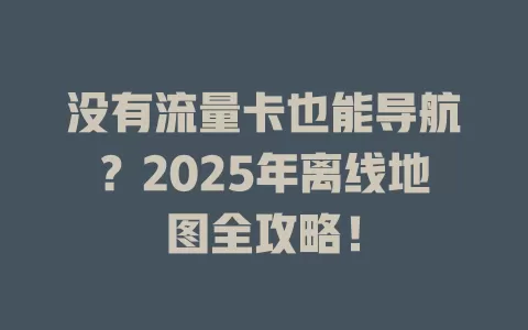 没有流量卡也能导航？2025年离线地图全攻略！