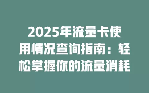 2025年流量卡使用情况查询指南：轻松掌握你的流量消耗