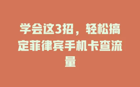 学会这3招，轻松搞定菲律宾手机卡查流量