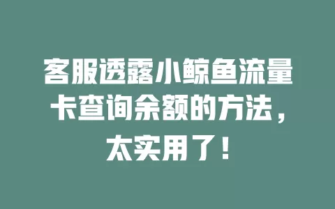 客服透露小鲸鱼流量卡查询余额的方法，太实用了！