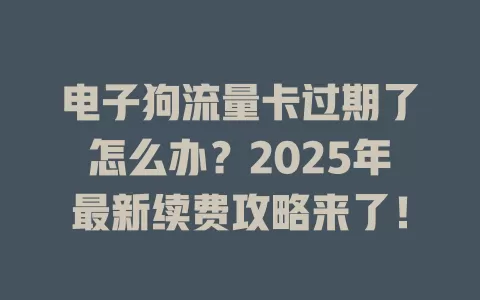 电子狗流量卡过期了怎么办？2025年最新续费攻略来了！