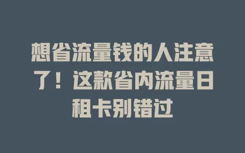 想省流量钱的人注意了！这款省内流量日租卡别错过