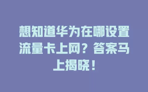 想知道华为在哪设置流量卡上网？答案马上揭晓！