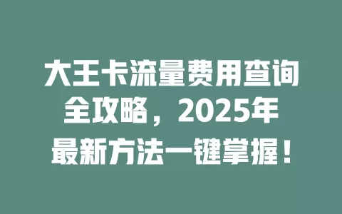 大王卡流量费用查询全攻略，2025年最新方法一键掌握！