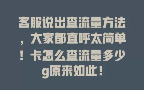客服说出查流量方法，大家都直呼太简单！卡怎么查流量多少g原来如此！