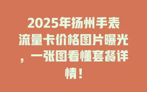 2025年扬州手表流量卡价格图片曝光，一张图看懂套餐详情！